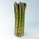 Asparagus