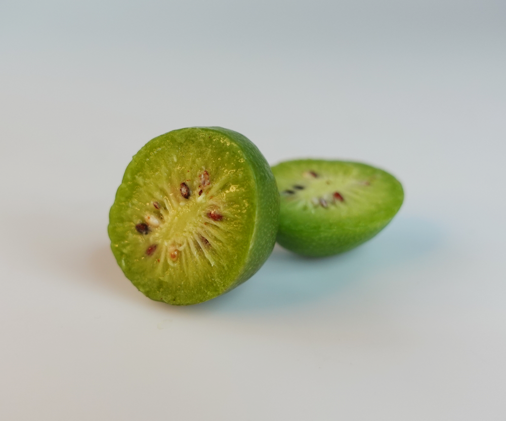Baby-Kiwi-3