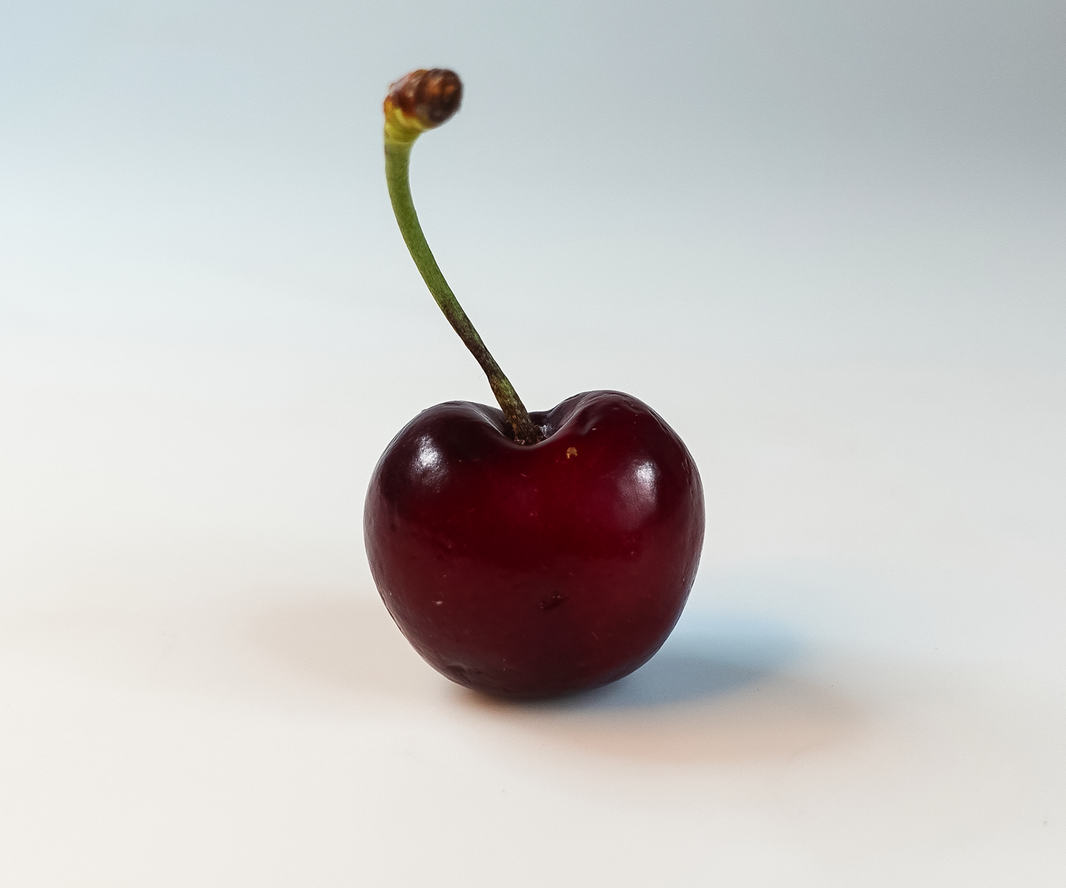 Black-Cherry-1