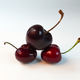 Black-Cherry-2