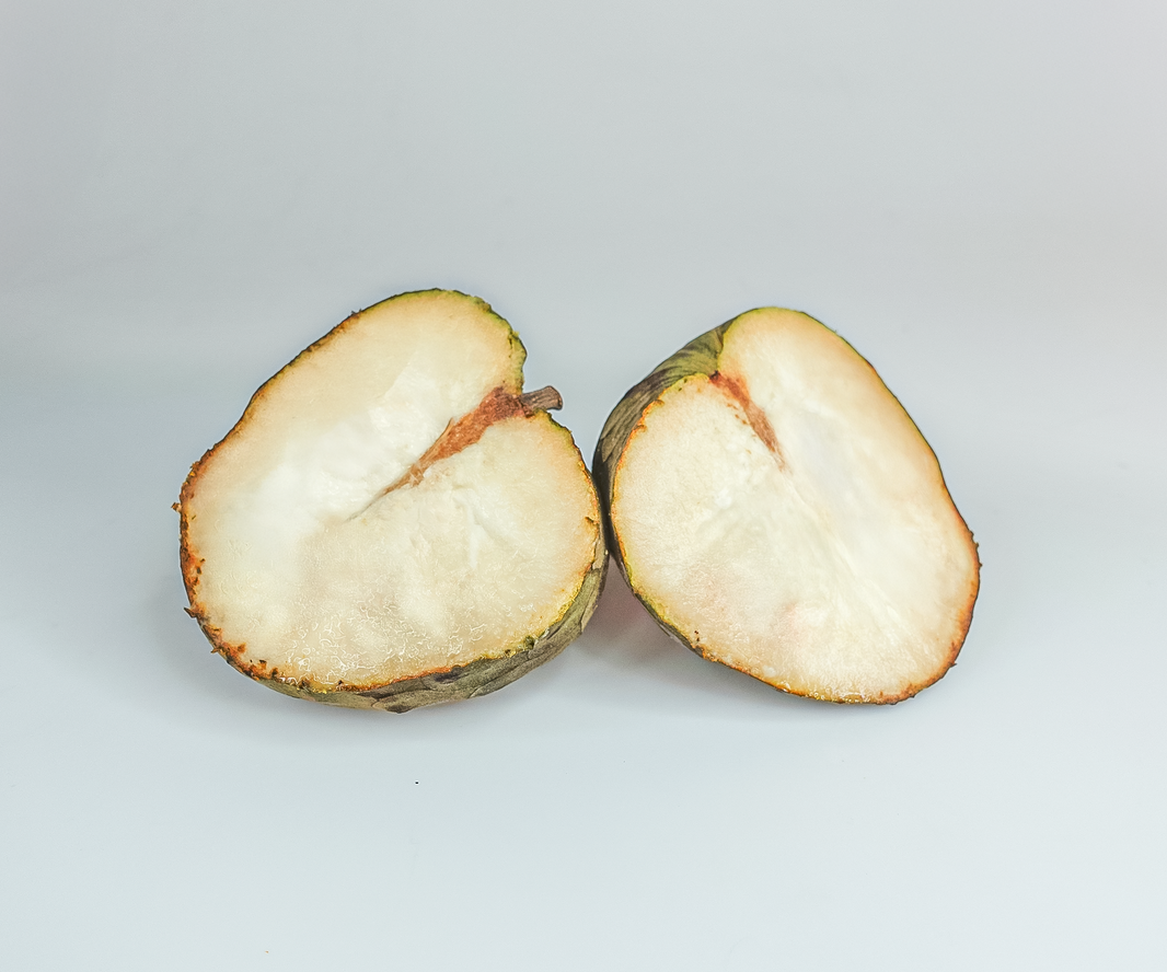 Cherimoya