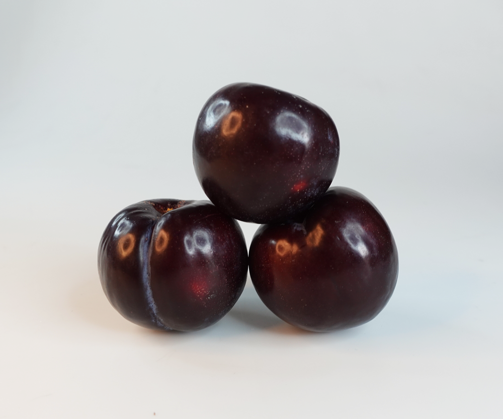 Plum-1