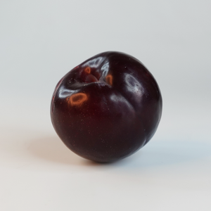 Plum-2