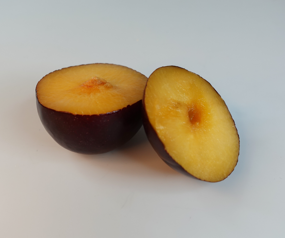 Plum-3