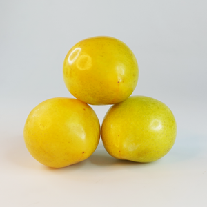 Yellow-Plum-1