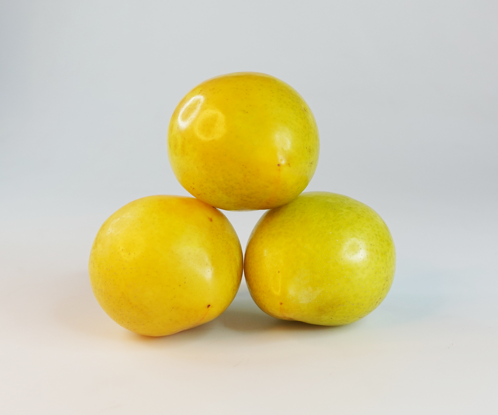 Yellow-Plum-1
