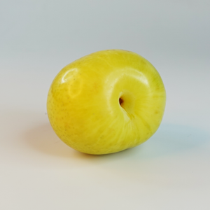 Yellow-Plum-2