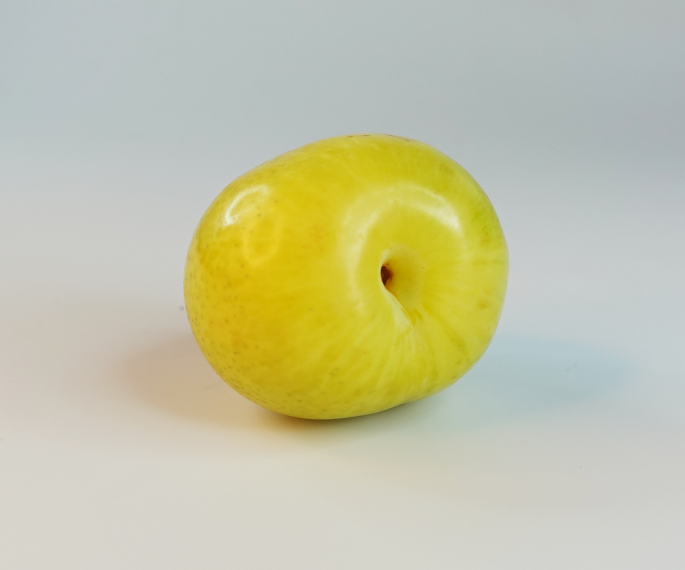 Yellow-Plum-2